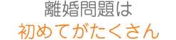 離婚問題は初めてがたくさん