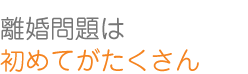 離婚問題は初めてがたくさん